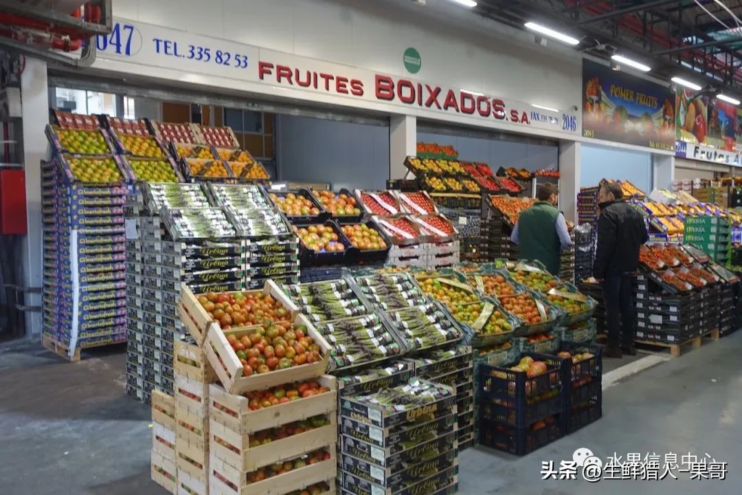 农产品公司名字_农业产品公司取名_做农产品公司名字