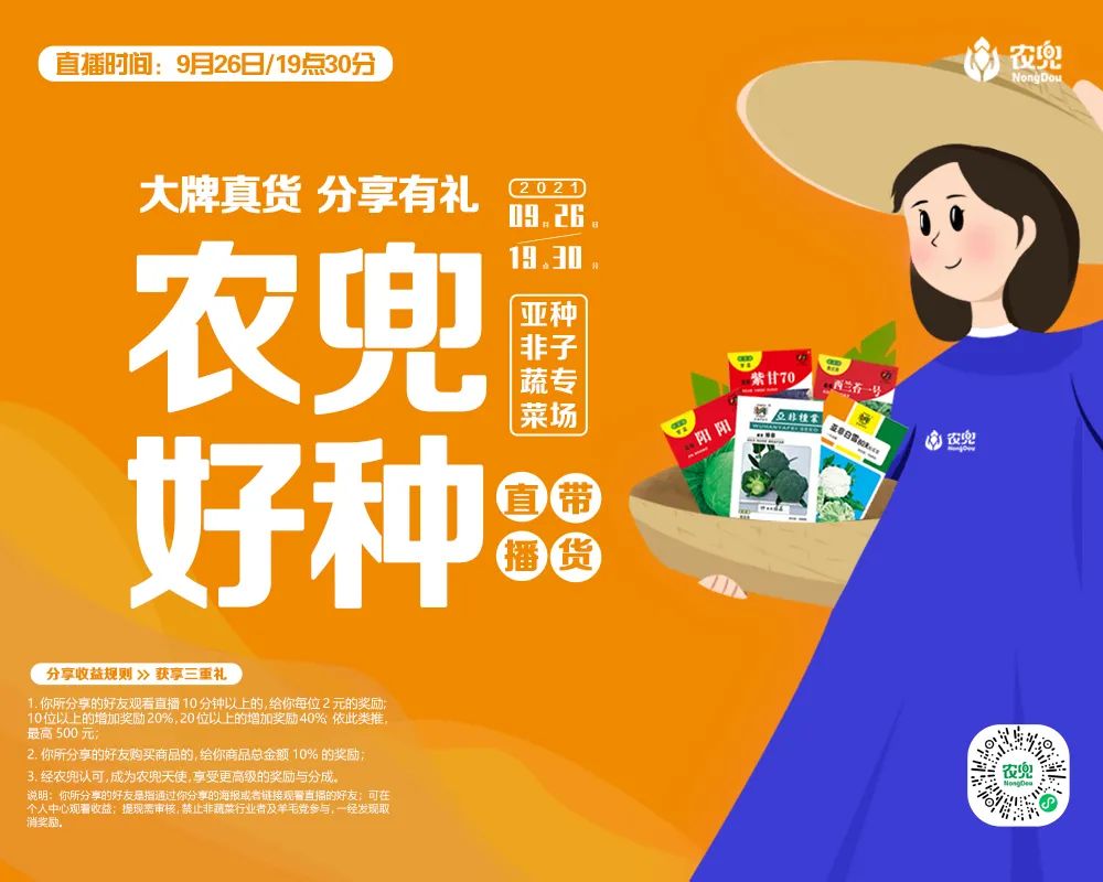 山东寿光蔬菜产业蓬勃发展：全国最大蔬菜集散中心交易量达900万吨