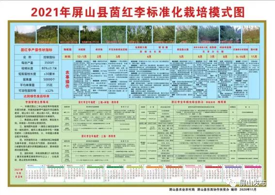 富硒农品宣传语_农片宣传富硒产品视频_富硒农产品宣传片