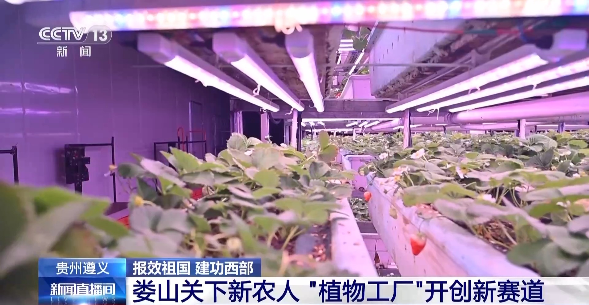 贵州西部农产品交易中心官网_贵州西部农产品投资_贵州西部农产品物流园