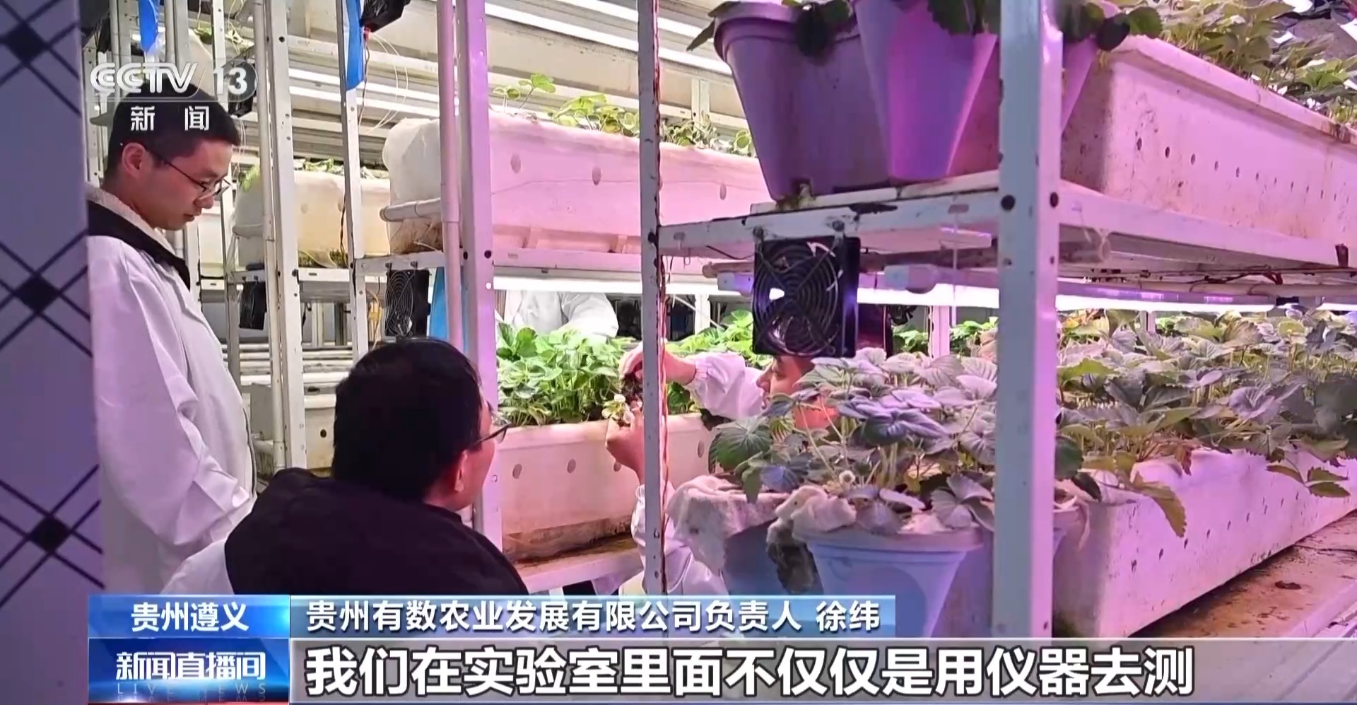 贵州西部农产品投资_贵州西部农产品交易中心官网_贵州西部农产品物流园