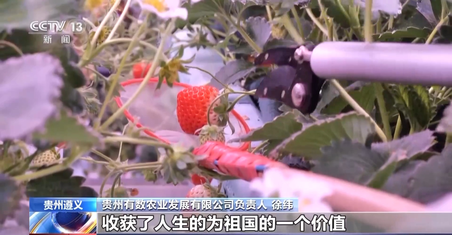 贵州西部农产品投资_贵州西部农产品物流园_贵州西部农产品交易中心官网