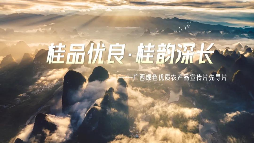 富硒农产品广告_富硒农产品宣传片_农片宣传富硒产品视频