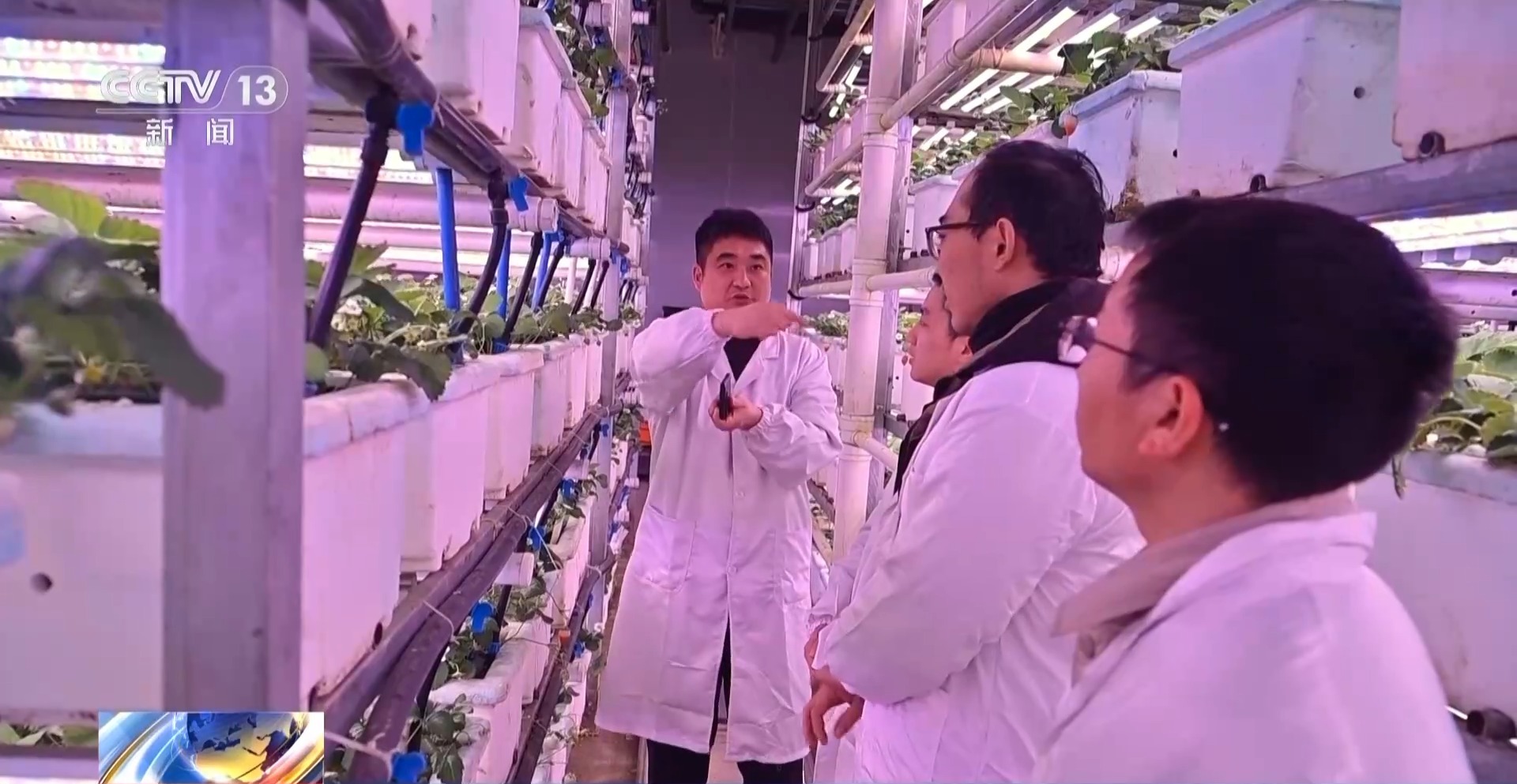 西部农业投资集团董事长_贵州西部农资有限公司_贵州西部农产品投资