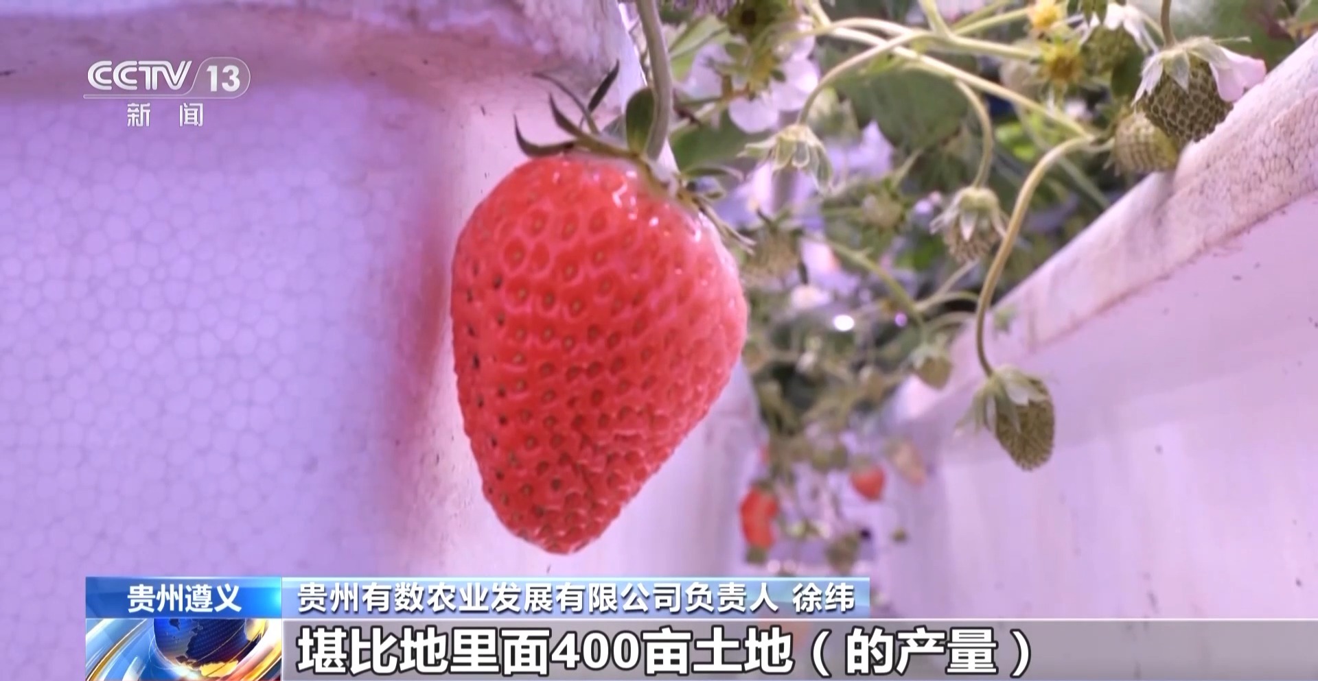 贵州西部农资有限公司_西部农业投资集团董事长_贵州西部农产品投资