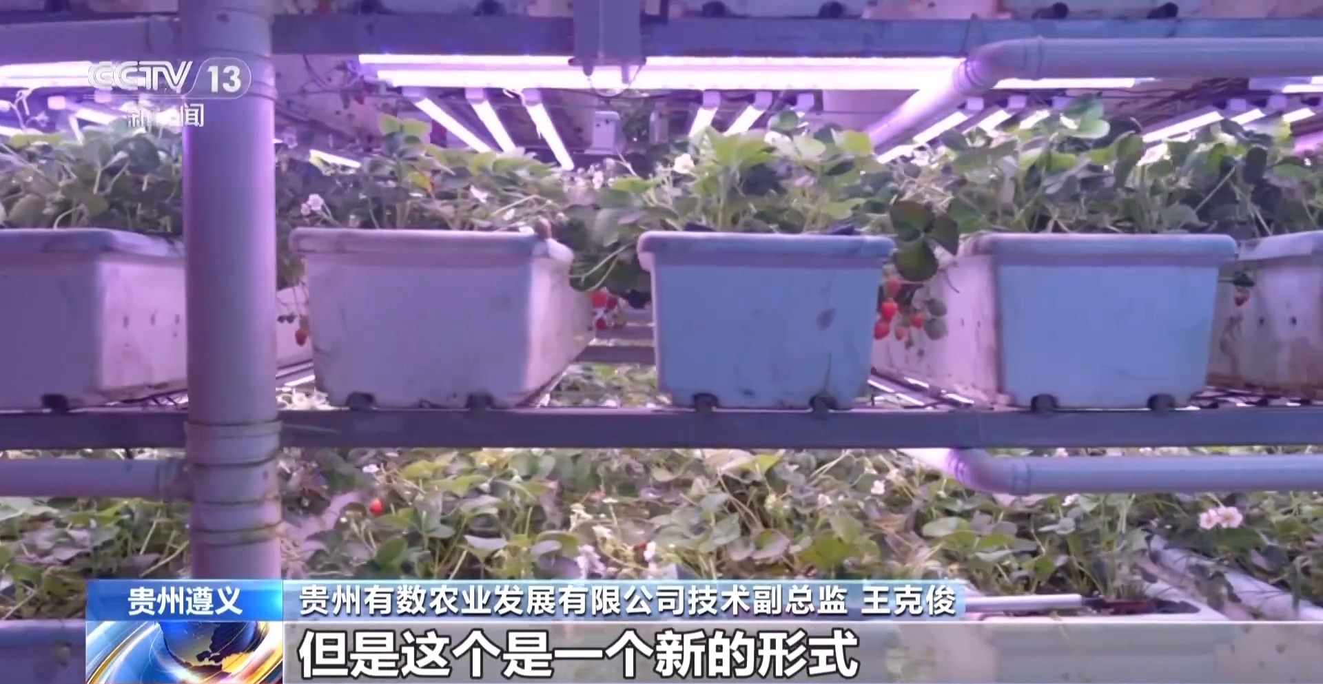 西部农业投资集团董事长_贵州西部农资有限公司_贵州西部农产品投资