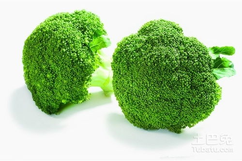 揭秘西兰花高效种植技术，如何实现高产与高品质？