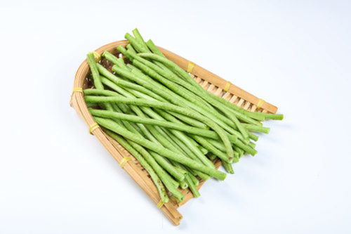 《四季豆种植：揭秘高效管理的秘密武器》