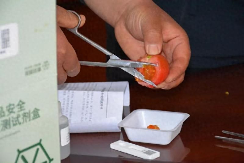 沧州献县启动蔬菜地头自检工程 胶体金速测技术5分钟测农残