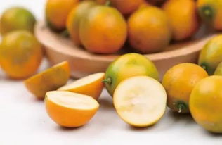 脆皮金桔种植：揭秘高附加值果树的种植奥秘