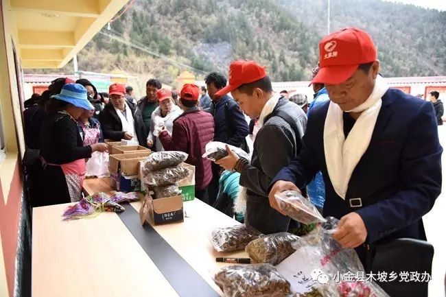 农资代销合同_农产品代销合同_农产品销售代理合同