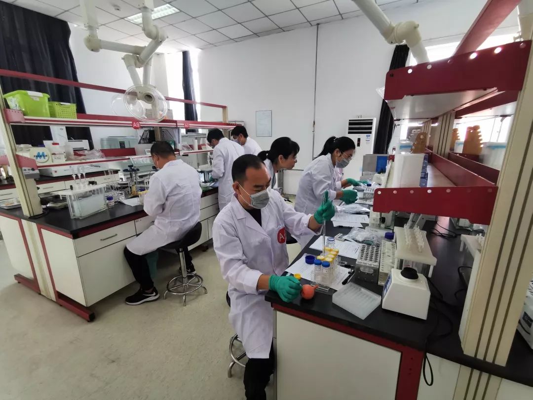 农产品质量安全检测设备_农产品质量安全检测技术实务_农产品质量安全检测有何意义