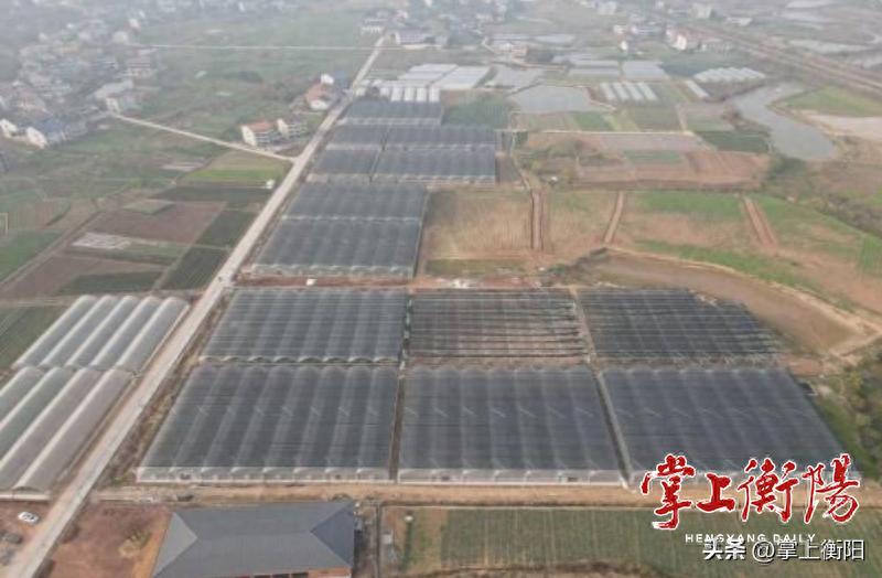 2024年智慧农业建设典型案例公布，湖南华达田园生态农业与嘉穗农业荣登榜单