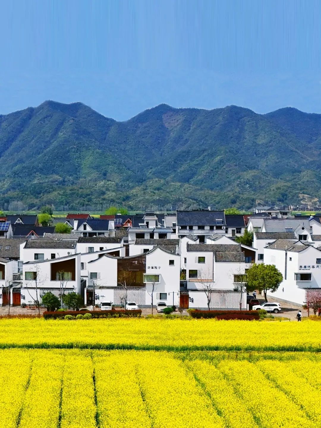 杭州乡村振兴7大成功案例：青山村水源保护等成果显著