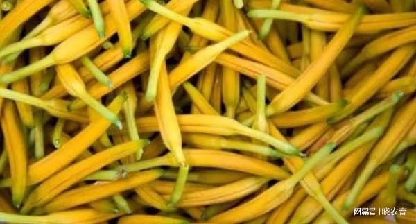 《黄花菜种植：揭秘高效管理之道，开启绿色财富之门》