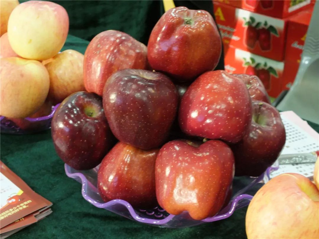 农优品食品有限公司_中国名优特农产品_优农食品
