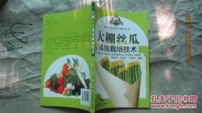 揭秘大棚丝瓜高效种植技术，产量翻倍不是梦！
