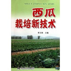 西瓜种植：揭秘高效管理与关键技术