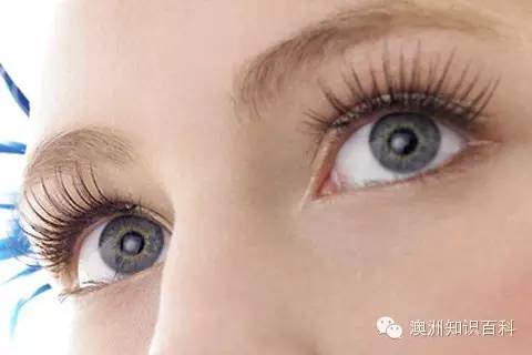 揭秘睫毛种植：价格之谜，你真的了解吗？