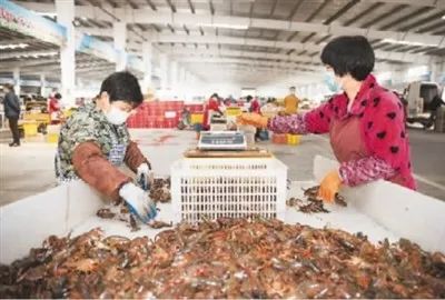 央视主播网红齐助力！买光湖北货拼单行动，解决农产品滞销难题
