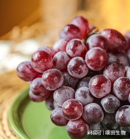揭秘玫瑰香葡萄种植秘籍：如何打造高品质果品？