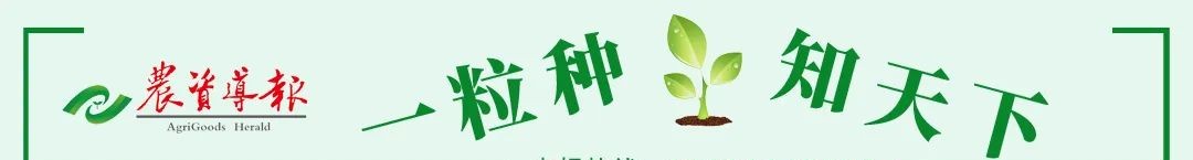 中国加征美国进口商品关税对农产品价格及中美贸易关系的影响分析
