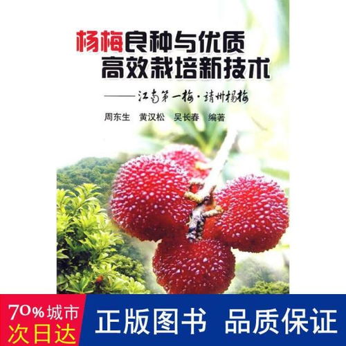 杨梅种植新技术的突破：揭秘高效增产的秘密