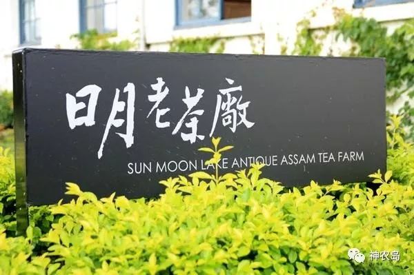 台湾农产品物流_台湾物流园_台湾物流企业