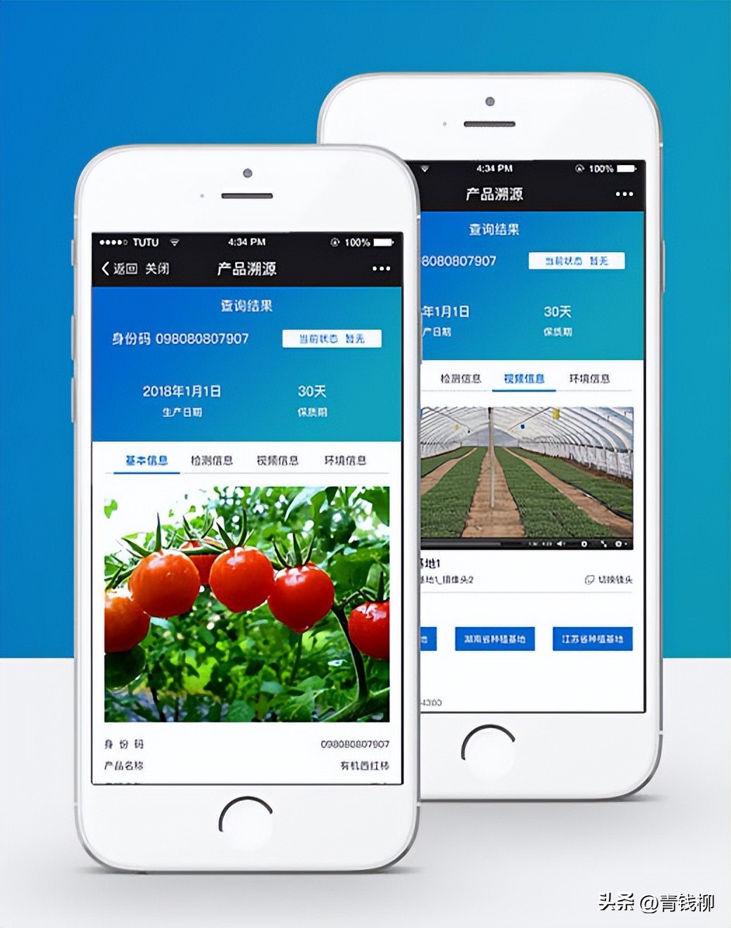 二维码溯源系统技术原理_二维码溯源系统怎么做_农产品溯源 二维码