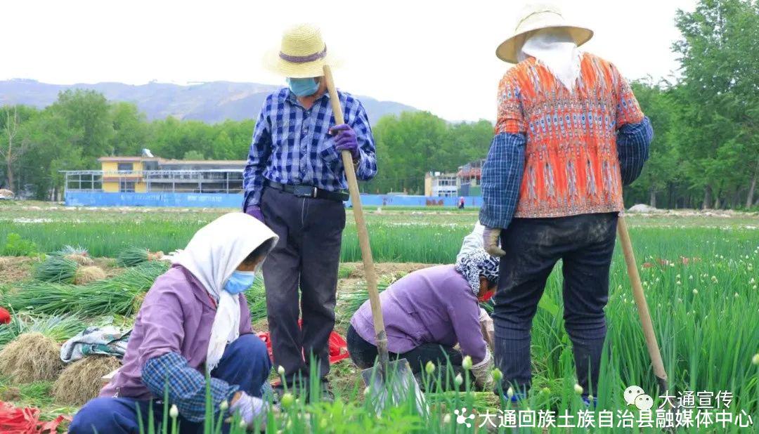 农产品滞销时间_滞销农产品销售平台_农产品滞销的危害