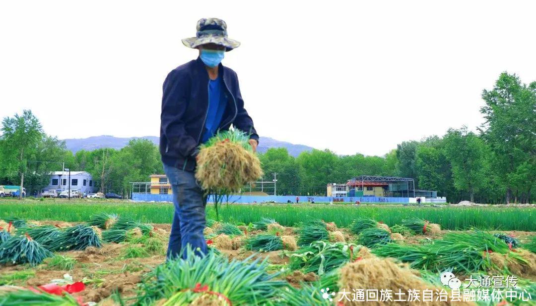 农产品滞销的危害_农产品滞销时间_滞销农产品销售平台