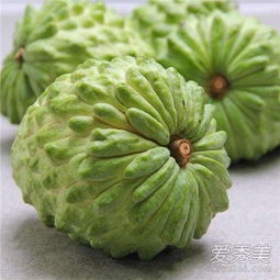 释迦果树苗种植：揭秘热带水果界的“贵族”种植奥秘