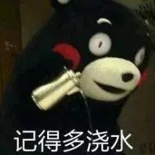 农产品抵扣税金_抵扣农产品进项税的会计分录_农产品抵扣文件