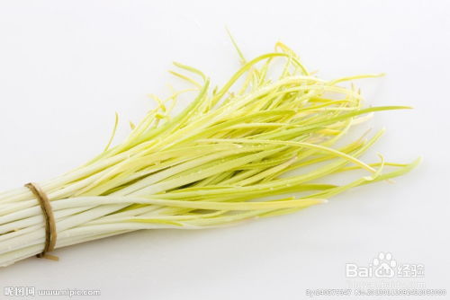 《蒜黄种植全攻略：揭秘高效益的秘密武器》