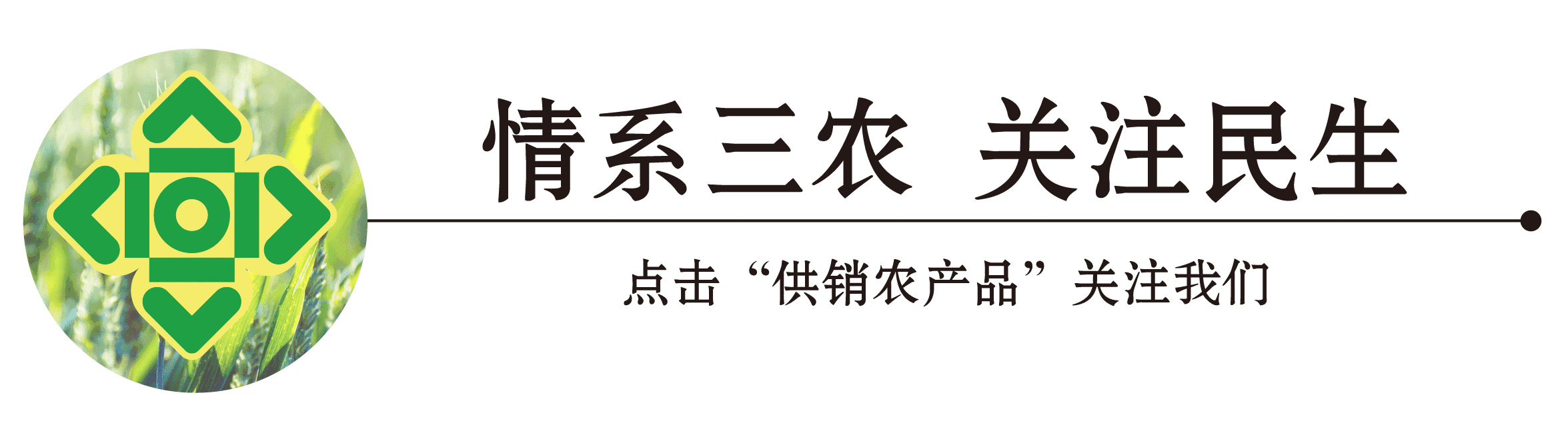 5月26日中国供销集团中合置业陈金富一行莅临交易集团调研指导