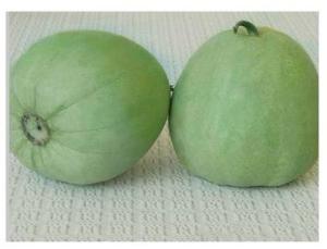 冰糖子甜瓜种植攻略：揭秘高效益的秘密武器