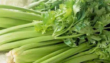 夏季芹菜种植攻略：如何在这个高温季节收获脆嫩佳肴？
