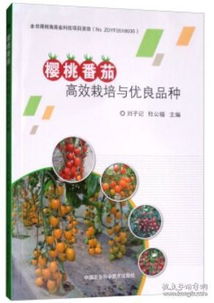 《番茄树种植新篇章：揭秘高效栽培技术视频，打造丰收乐园！》