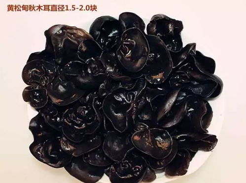 《椴木黑木耳种植：揭秘高效益的绿色农业新篇章》
