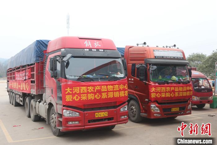 畅销的农产品_畅销农产品乡村振兴_最受欢迎农产品