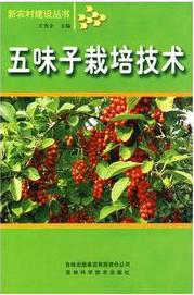 五味子种植：揭秘高效益的绿色农业新宠