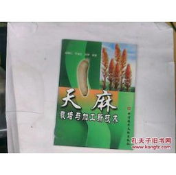 揭秘袋装天麻种植新趋势：高效技术助力产业升级