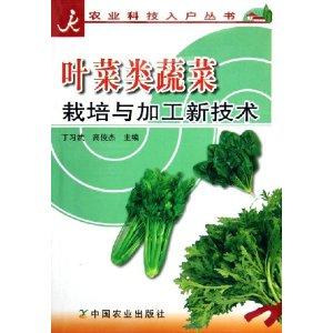 揭秘蔬菜种植宝典：如何打造高产高效蔬菜园？
