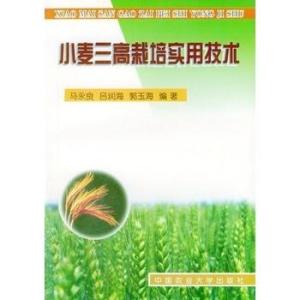 小麦种植技术APP：智能农业助力丰收，您准备好了吗？