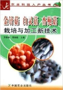 白灵菇种植新篇章：揭秘高效培育技术，开启农业致富新门道