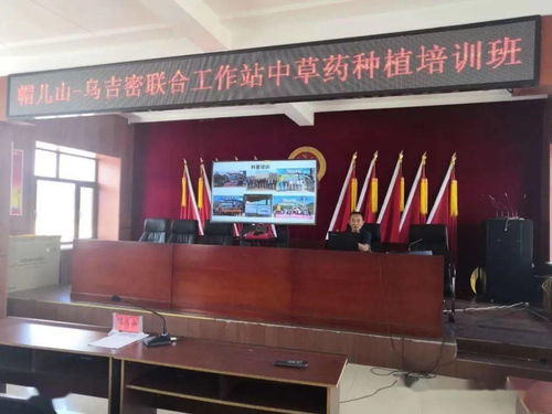 中药材种植技术服务部：助力产业升级，共筑健康未来