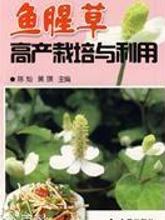 揭秘鱼腥草高产种植技术，助您一跃成为致富能手！