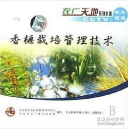 嫩早1号种植技术揭秘：如何实现蔬菜高产高效？