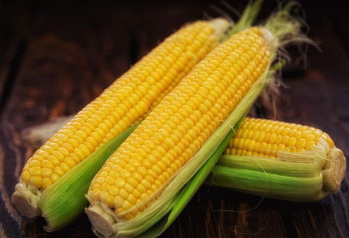 糯玉米种植时间揭秘：把握最佳时机，丰收在望！