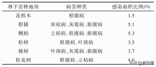 《黄精种植技术专利解析：揭秘高效益的绿色农业新篇章》